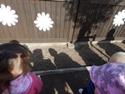 Zakládáme bylinkovou zahrádku